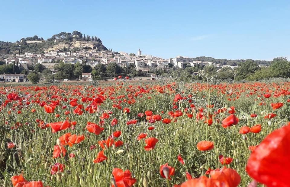 L'Amanderaie Piscine Privee A Cote De Lourmarin Luberon Apartment กาเดอเนต์ ภายนอก รูปภาพ