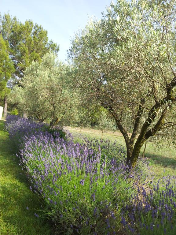 L'Amanderaie Piscine Privee A Cote De Lourmarin Luberon Apartment กาเดอเนต์ ห้อง รูปภาพ